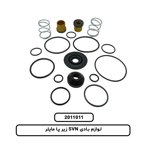 لوازم بادی SVN زیر پا مایلر