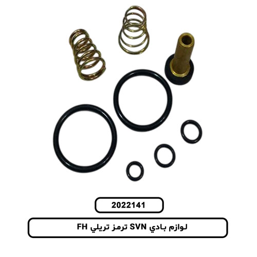 لوازم بادي SVN ترمز تريلي FH