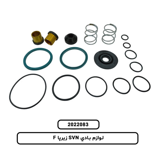 لوازم بادي SVN زيرپا F