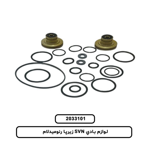 لوازم بادي SVN زيرپا رنوميدلام