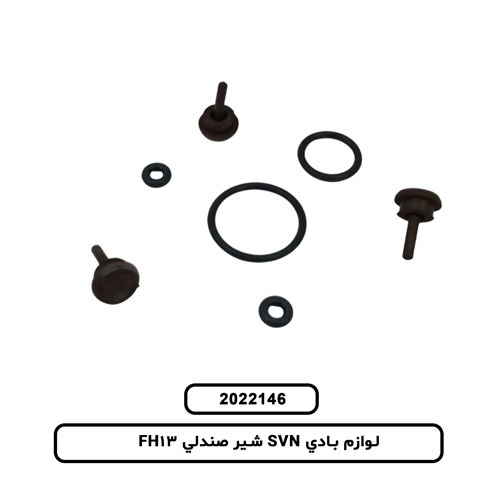 لوازم بادي SVN شير صندلي FH13