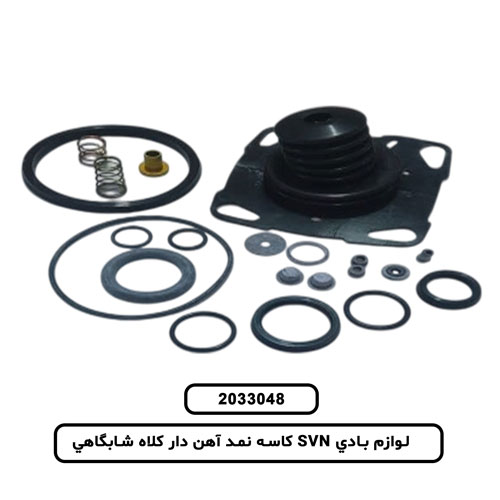 لوازم بادي SVN کلاج پايين ايويکو 440 کامل