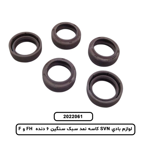 لوازم بادي SVN کاسه نمد سبک سنگين 6 دنده FH و F